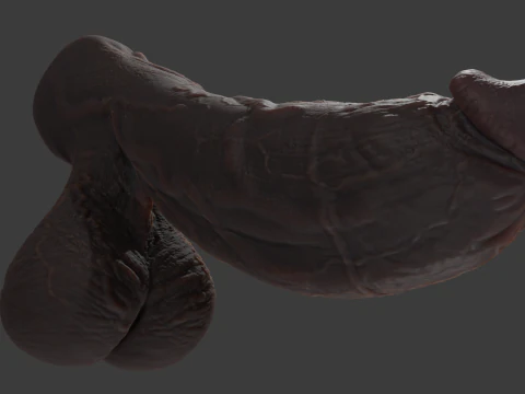 Stylized Huge BBC Penis Rigged Lowpoly and Highpoly 3D Model