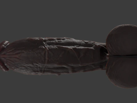 Stylized Huge BBC Penis Rigged Lowpoly and Highpoly 3D Model