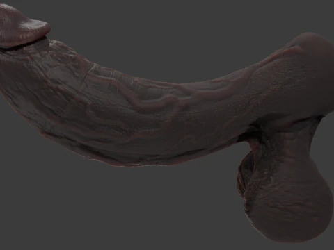 Stylized Huge BBC Penis Rigged Lowpoly and Highpoly 3D Model