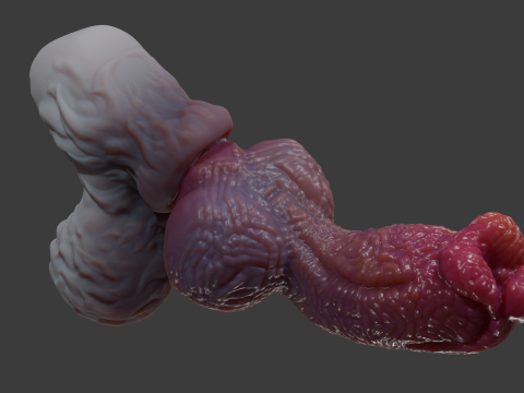 ファンタジーゾラ犬ペニスリギングローポリとハイポリ 3Dモデル