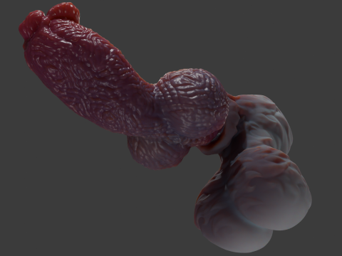 ファンタジーゾラ犬ペニスリギングローポリとハイポリ 3Dモデル