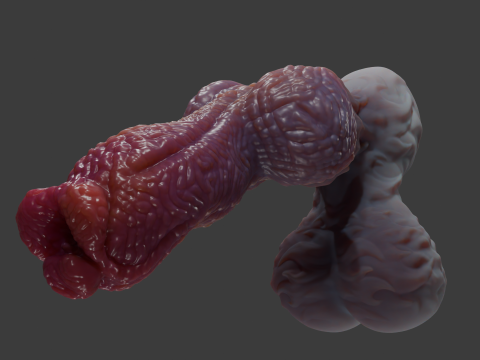 ファンタジーゾラ犬ペニスリギングローポリとハイポリ 3Dモデル