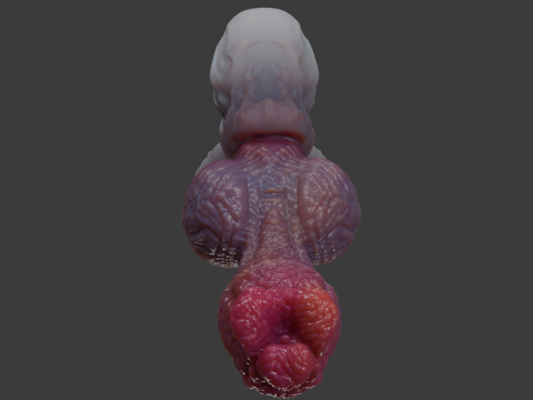 ファンタジーゾラ犬ペニスリギングローポリとハイポリ 3Dモデル