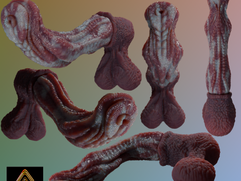 ファンタジー エイリアン ホース ペニス リギング 3Dモデル