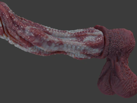 Fantasy Alien Horse Penis Rigged 3D Model