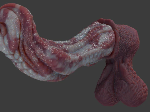 Fantasy Alien Horse Penis Rigged 3D Model