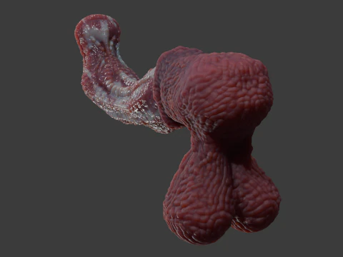 Fantasy Alien Horse Penis Rigged 3D Model