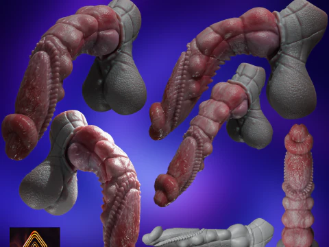 P&ecirc;nis de drag&atilde;o fantasia Kuju equipado Modelo 3D