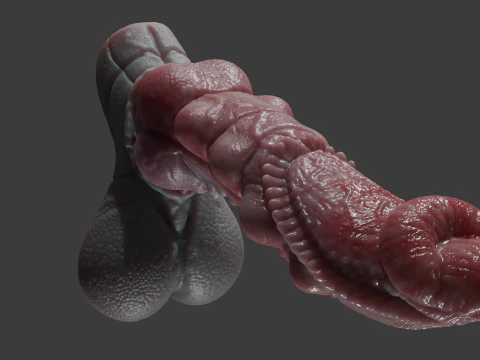 Fantasy Kuju Dragon Penis Rigged 3D Model
