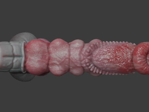 Fantasy Kuju Dragon Penis Rigged 3D Model