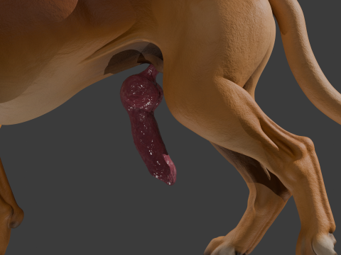 Penis Donanımlı Boxer K&ouml;pek 3D Model