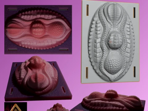 Секс-игрушка Kinky Dragon Grinder 3D Модель