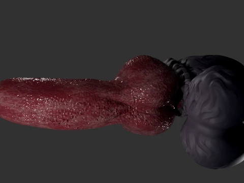 Fantasy Boxxx Werewolf Penis Sextoy 3D Model