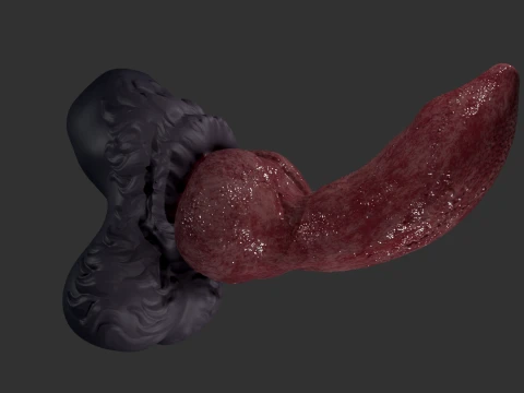 Fantasy Boxxx Werewolf Penis Sextoy 3D Model