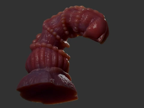 Fantasy Beligrosso Dragon Penis Rigged 3D Model