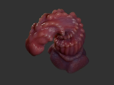 Fantasy Beligrosso Dragon Penis Rigged 3D Model