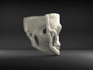 mask james bond spectre skull 007 3D Model