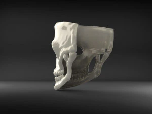 mask james bond spectre skull 007 3D Model