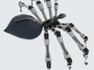 spider 3D Model