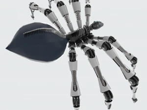 spider 3D Model