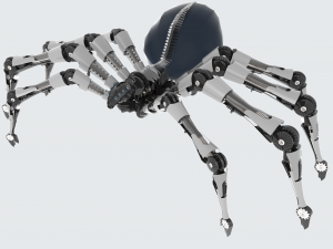 spider 3D Model