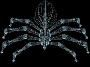 spider 3D Model