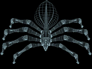 spider 3D Model