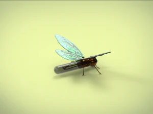 butterfly mechanical steampunk 3D Model
