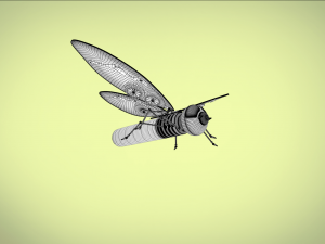 butterfly mechanical steampunk Modello 3D