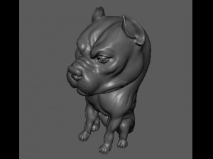 dog modelling Modello 3D