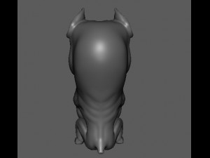 dog modelling Modello 3D