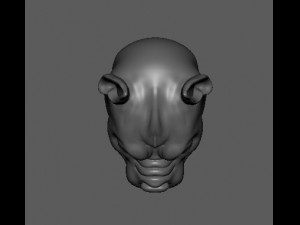 dog modelling Modello 3D