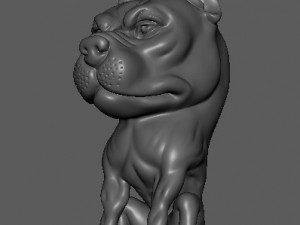 dog modelling Modello 3D