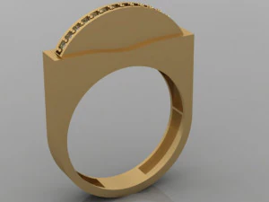 coin in ring 3D Model