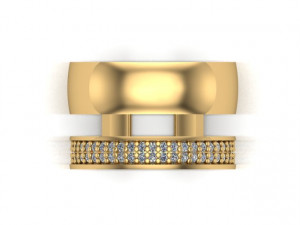 double ring 3D 프린트 모델