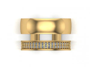 double ring 3D Print Model