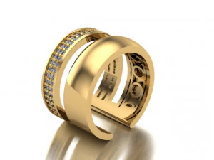 double ring 3D Print Model