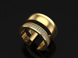 double ring 3D Print Model