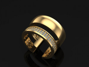 double ring 3D 프린트 모델