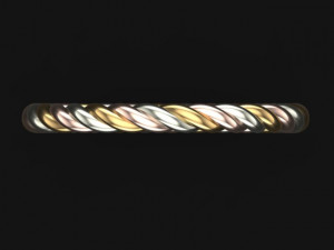 spiral ring Model 3D