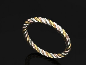 spiral ring Model 3D