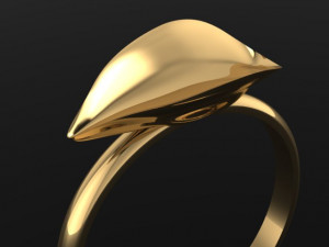 leaf ring 3D Model