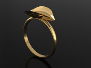 leaf ring 3Dモデル