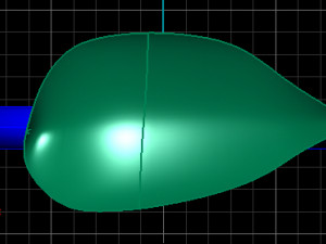 leaf ring 3Dモデル