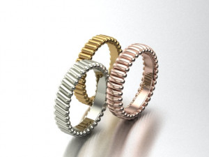 cylinder ring 3D 模型