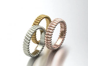 cylinder ring 3D Model