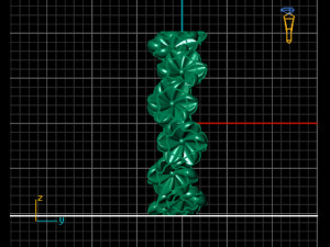 flowers ring Model 3D