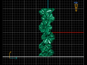 flowers ring 3D Model
