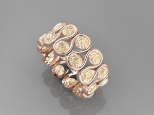 Screw ring 3D Model