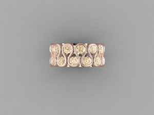 Screw ring 3D Model